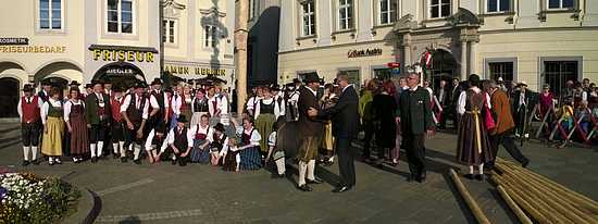 Maibaum_Linz_032.jpg